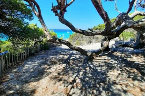 Explore Corsica | Fascinante Agriate