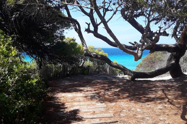 Explore Corsica | Fascinante Agriate